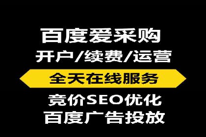 某某SEM团队成功案例：广告投放策略揭秘